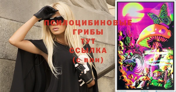герыч Дмитриев