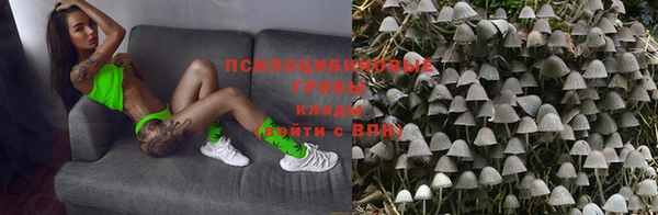 PSILOCYBIN Дмитровск