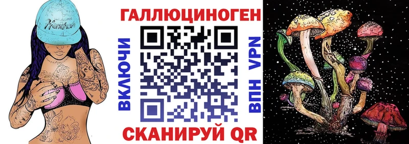 Купить закладки  Княгинино  Псилоцибиновые грибы ЛСД 